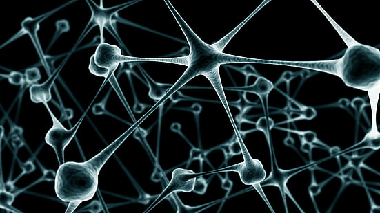 Artistic, Neuron, HD wallpaper HD wallpaper