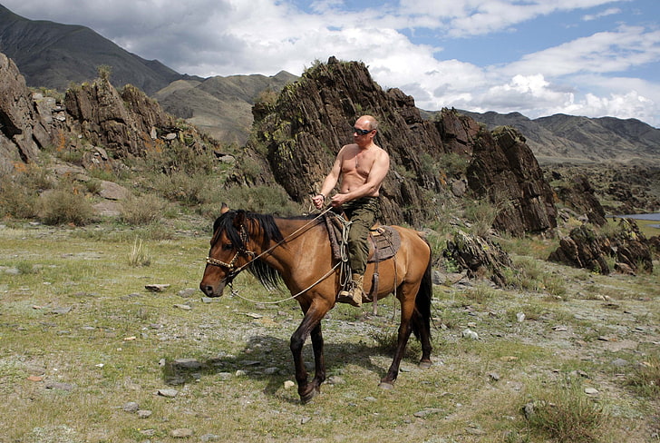 brun häst, berg, natur, tapeter, häst, Putin, Vladimir Putin, Rysslands premiärminister, Rysslands president, HD tapet