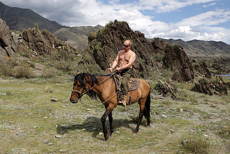 коричневый конь, горы, природа, обои, конь, путин, владимир путин, премьер-министр россии, президент россии, HD обои HD wallpaper