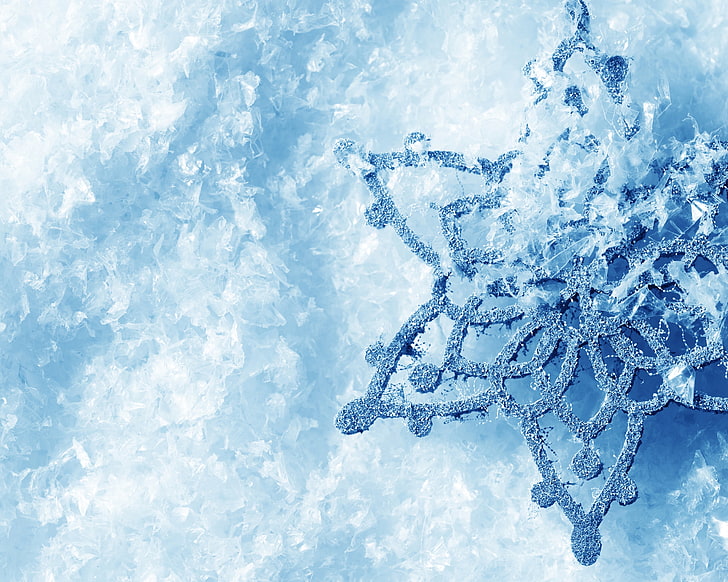 ice frost, snowflake, macro, ice, winter, cold, frost, HD wallpaper