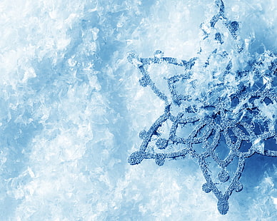 Eis Frost, Schneeflocke, Makro, Eis, Winter, Kälte, Frost, HD-Hintergrundbild HD wallpaper