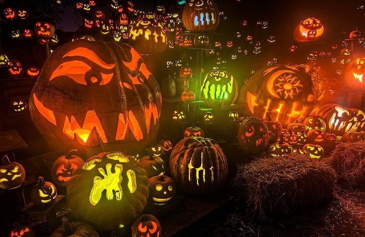 pumpkin, set, lights, hay, halloween, holiday, jack o lantern lot, pumpkin, lights, halloween, holiday, HD wallpaper