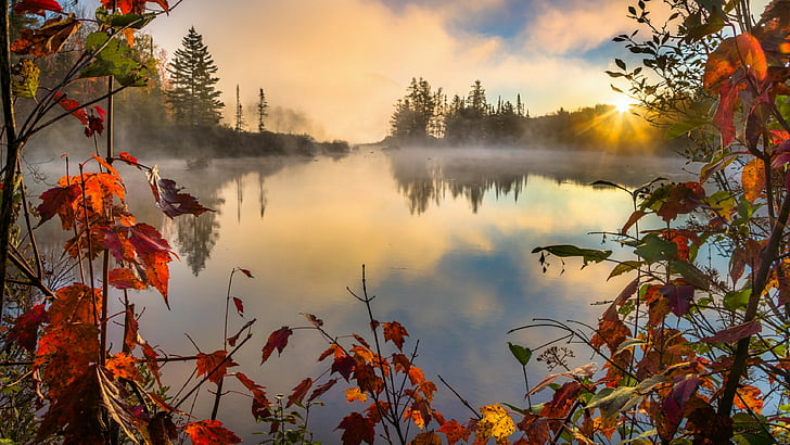 warna musim gugur, daun merah, daun musim gugur, danau, berkabut, pagi, matahari terbit, sinar matahari, musim gugur, tercermin, refleksi, awan, langit, tanaman, Wallpaper HD