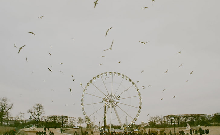 Paris Vintage Photography, brown Ferris wheel, Vintage, Paris, France, iledefrance, HD wallpaper