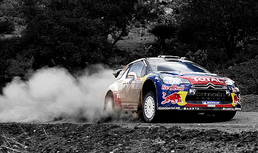 Dust, Sport, Machine, Speed, Citroen, Red Bull, DS3, WRC, Rally, วอลล์เปเปอร์ HD HD wallpaper