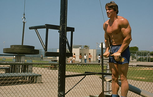 Arnold Schwarzenegger, atlet, Oyuncu, vücut geliştirmeci, Arnold Schwarzenegger, Yapımcı, Yönetmen, HD masaüstü duvar kağıdı HD wallpaper