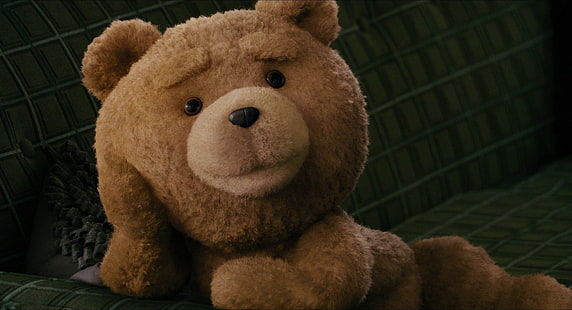 Кино, Тед, Тед (персонаж фильма), HD обои HD wallpaper