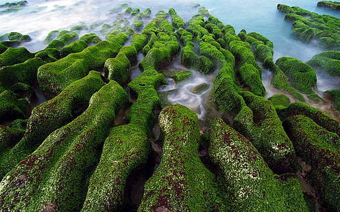 природа, пейзаж, вода, море, скала, водорасли, мъх, зелено, продължително излагане, HD тапет HD wallpaper