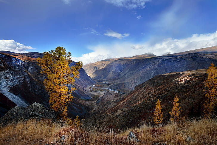 Алтайские горы, пейзажная живопись, алтайские горы, осень, HD обои