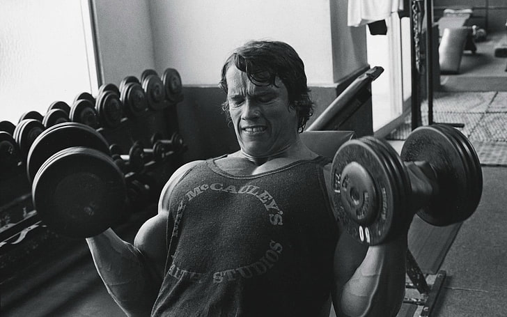 Arnold Schwarzenegger, Arnold Schwarzenegger, musculação, Bodybuilder, barra, halteres, academias, magro, exercício, HD papel de parede
