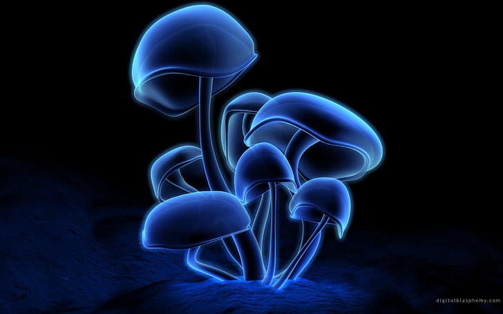 Neon Mushrooms, Other, HD wallpaper