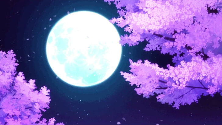 луна, полнолуние, аниме, ночное небо, ночь, HD обои