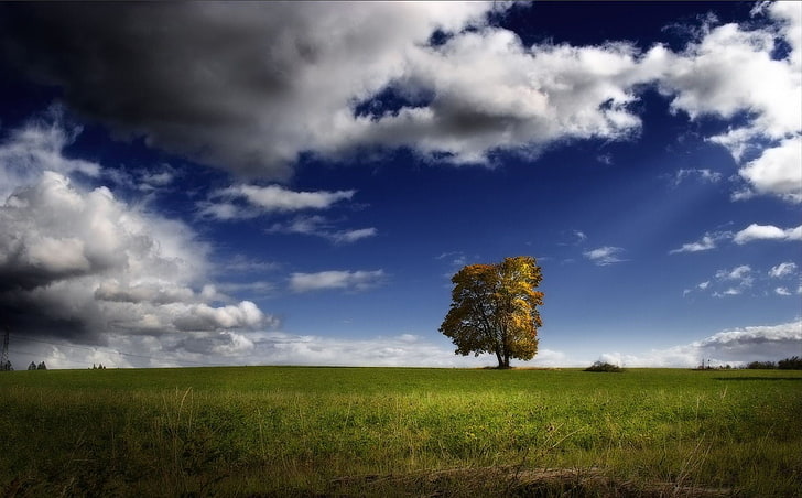 green leafed tree, landscape, sky, trees, nature, clouds, HD wallpaper