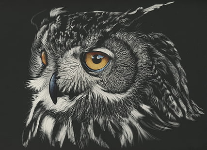owl, painting, animals, 4k, hd, monochrome, black and white, HD wallpaper HD wallpaper