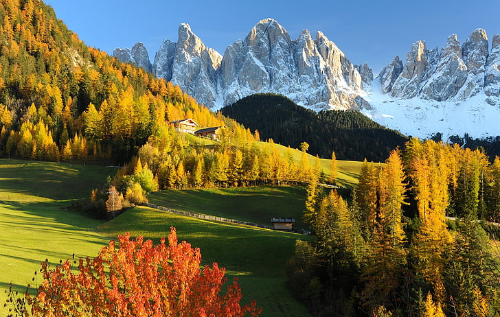 árvores folhosas verdes, natureza, montanhas, outono, floresta, alpes, prado, itália, paisagem, dolomitas, val gardena, HD papel de parede