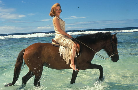 女性ジリアン・アンダーソン馬4000x2598動物馬HDアート、女性、ジリアン・アンダーソン、 HDデスクトップの壁紙 HD wallpaper