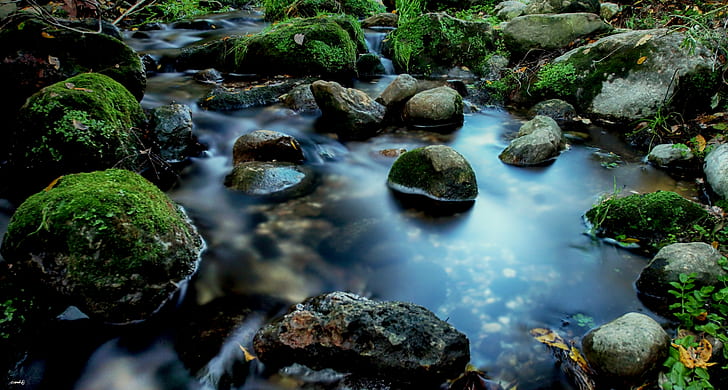 green and black stones on clear calm water during daytime, el rio, el rio, en, el rio, black stones, clear, calm, water, daytime, Rio  Piedras, Aire libre, Sant Feliu, Raco, Sony, A77, nature, stream, forest, river, outdoors, rock - Object, moss, waterfall, landscape, scenics, tree, freshness, green Color, stone - Object, HD wallpaper