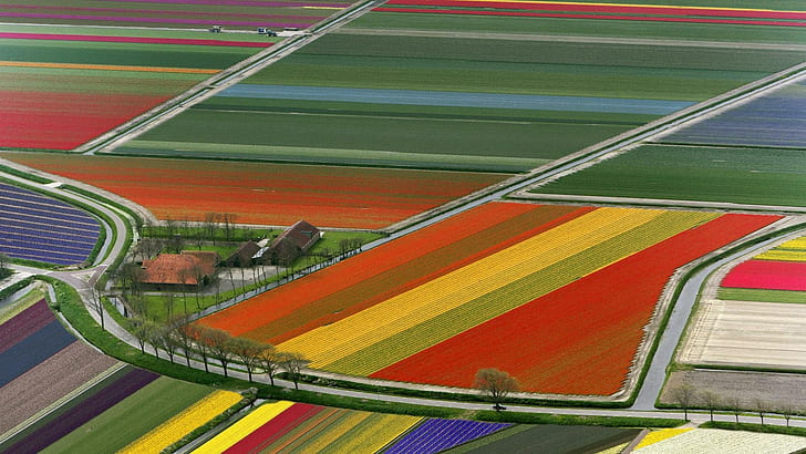 Bunter Bauernhof, Felder, Natur, mehrfarbig, Ackerland, Natur und Landschaften, HD-Hintergrundbild