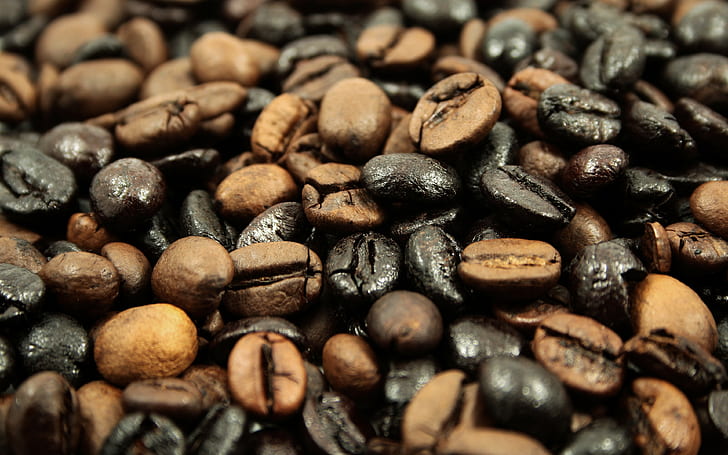 grãos de café, fundos de café, torrados, baixar 3840x2400 grãos de café, HD papel de parede