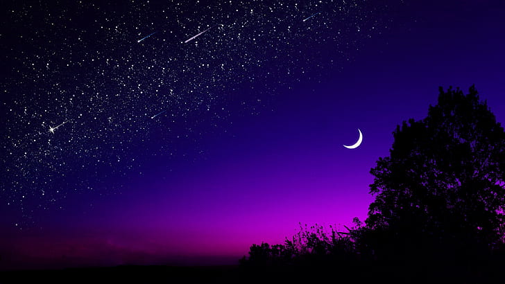 シルエット、星空、星空、美しい、流星、流れ星、流れ星、木、真夜中、三日月、夜空、天文学、星、闇、月、夜、流れ星、紫、紫の空、 HDデスクトップの壁紙