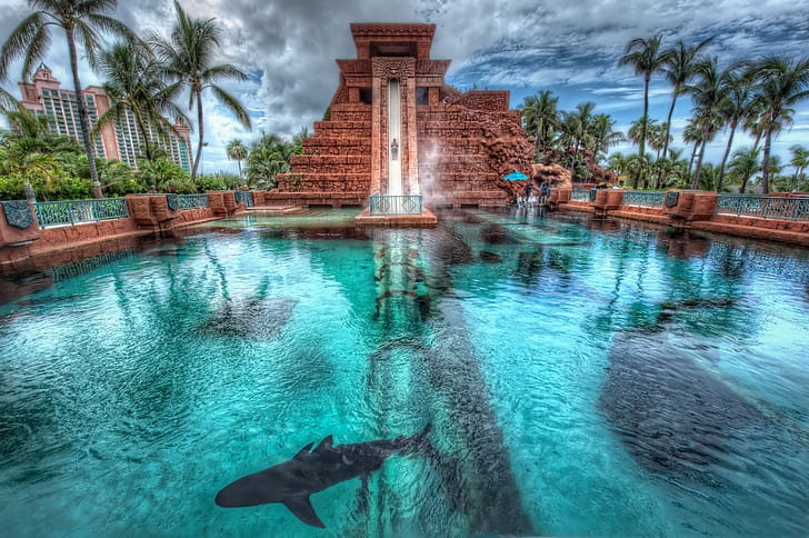 palm trees, shark, pool, Bahamas, Nassau, Atlantis Hotel, HD wallpaper