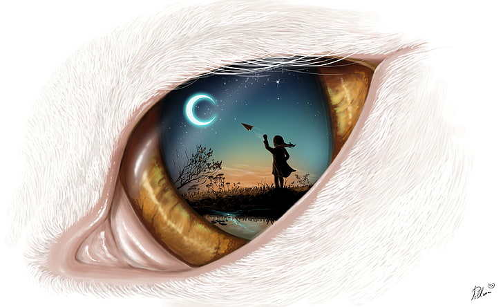 السماء، الليل، القمر، الفن، عين القط، الطائرة، خلفية HD