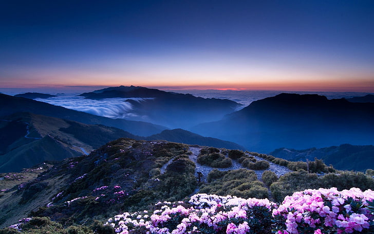 rosa Blüten, Landschaft, Natur, HD-Hintergrundbild