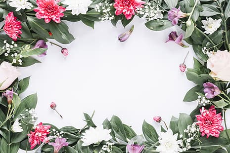 цветя, рамка, цветни, розови, флорални, HD тапет HD wallpaper