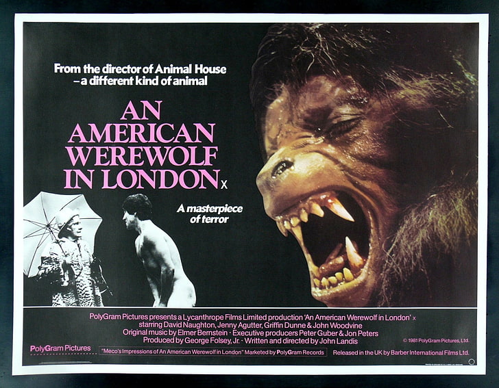 映画、ロンドンのアメリカ人狼、 HDデスクトップの壁紙