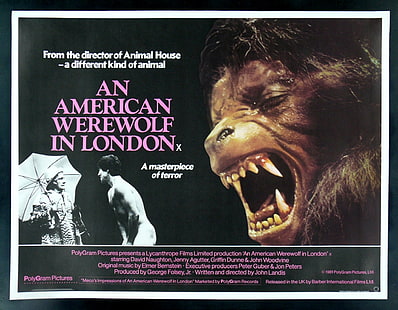 Película, un hombre lobo americano en Londres, Fondo de pantalla HD HD wallpaper