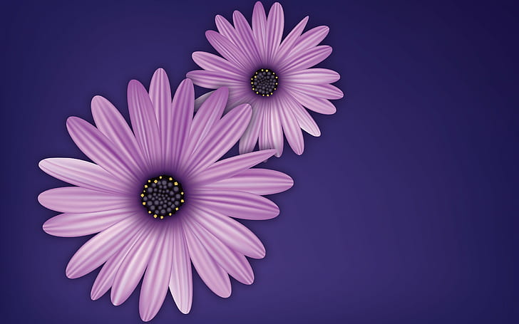 цветы, фиолетовый, вектор, цифровое искусство, простой фон, фиолетовый фон, HD обои