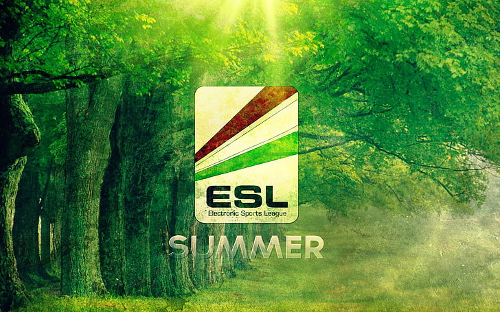 Liga Olahraga Elektronik, musim panas, Wallpaper HD