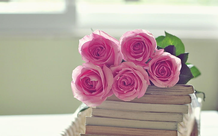 cinco rosas rosadas, rosas, flores, ramo, libros, Fondo de pantalla HD
