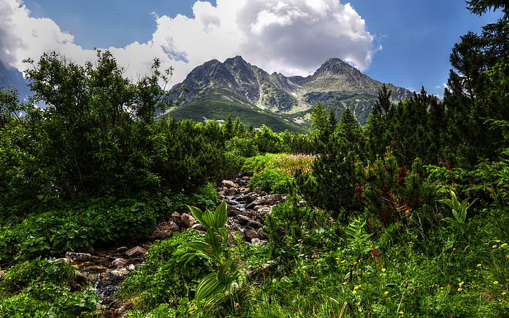 Herrliche Aussicht auf den Berg, Frühling, Fluss, Wald, Quelle, grün, HD-Hintergrundbild