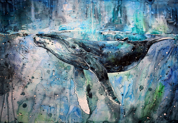 animals, artwork, Paint Splatter, painting, watercolor, Whale, HD wallpaper