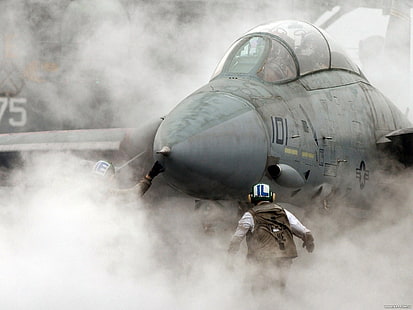 เครื่องบินรบสีเทาเครื่องบินควันเครื่องบินทหาร F-14 Tomcat, วอลล์เปเปอร์ HD HD wallpaper