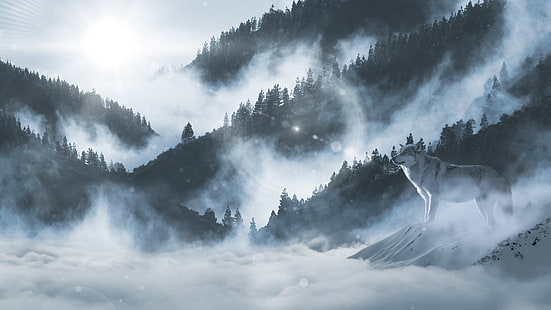 ciel, nuage, loup solitaire, chaîne de montagnes, montagne, loup, brumeux, brouillard, arbre, lumière du soleil, matin, journée, rayon de soleil, paysage, Fond d'écran HD HD wallpaper