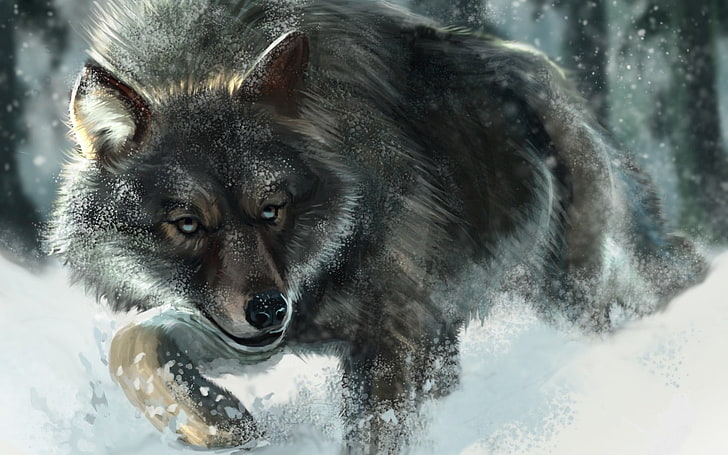 brązowy i czarny wilk, wilk, śnieg, zwierzęta, dzika przyroda, Tapety HD