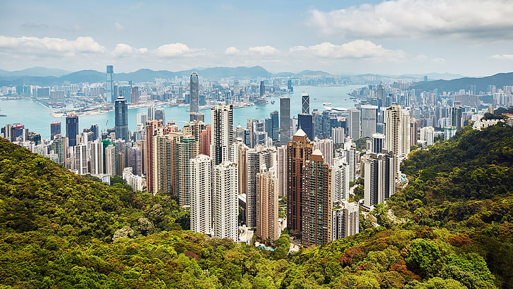 въздушна фотография на градски пейзаж близо до река, Хонконг, градски пейзаж, сграда, дървета, HD тапет
