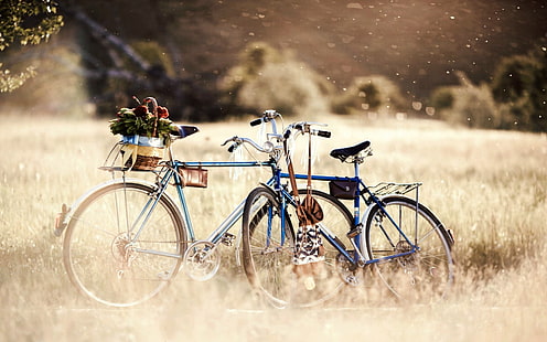 dwa niebieskie rowery podmiejskie, zielenie, trawa, drzewa, kwiaty, natura, rower, wspaniały, tło, Tapeta, nastrój, rośliny, plama, dzień, koło, rower, kosz, inny, panoramiczny, rowery, bokeh, pełny ekran, tapety HD, Tapety HD HD wallpaper