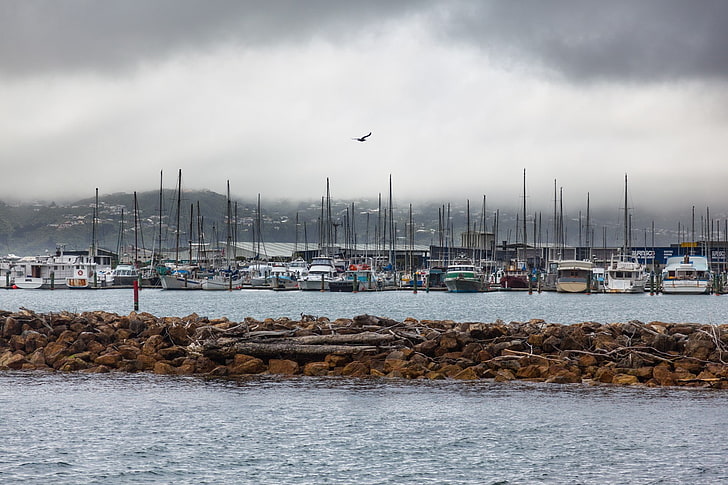 pemandangan, Selandia Baru, kapal pesiar, pelabuhan, Wallpaper HD