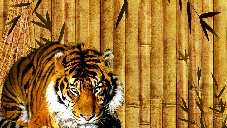 Bamboo Tiger, tiger photo, tiger, striped, kitten, wild, leaves, bamboo, predator, beautiful, eyes, dangerous, wood, HD wallpaper