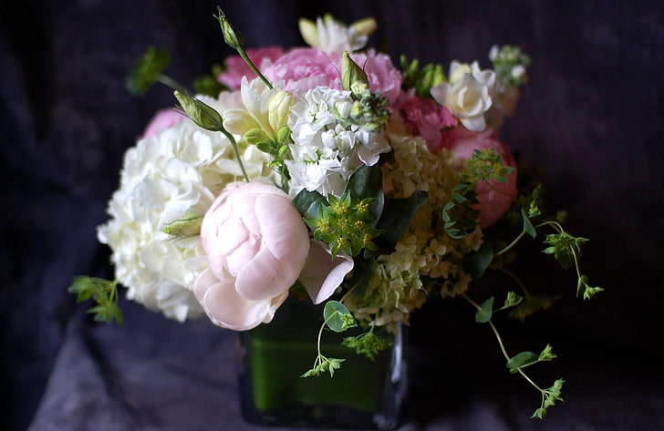 fleurs pétales de couleurs assorties, pion, giroflée, hortensia, fleur, chanson, vert, Fond d'écran HD