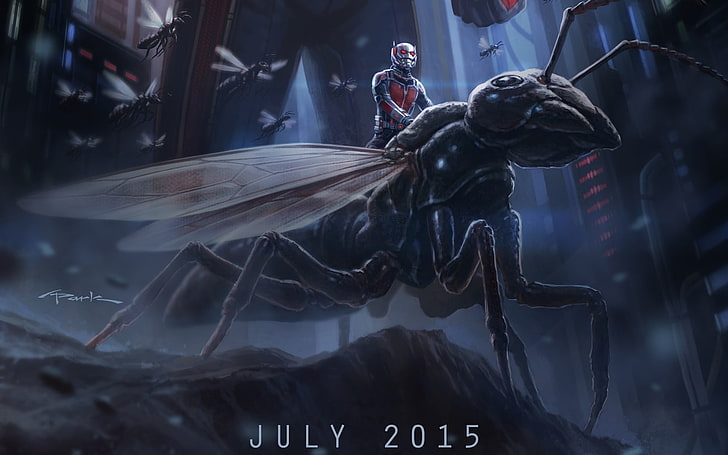 Antman 2015, Ant-Man and the Wasp movie wallpaper, Movies, Hollywood Movies, hollywood, 2015, HD wallpaper