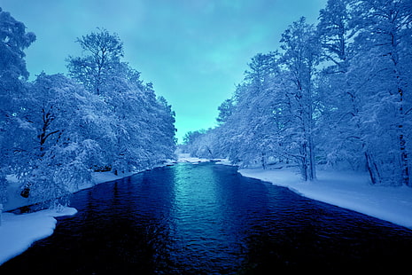 pohon berdaun putih, langit, salju, pohon, sungai, Musim Dingin, Wallpaper HD HD wallpaper