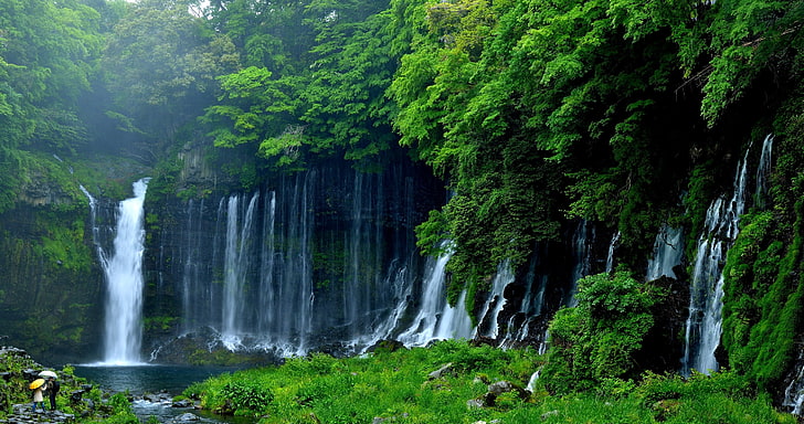 greens, trees, nature, Japan, waterfall, Fujinomiya, Lake Tanuki, HD wallpaper