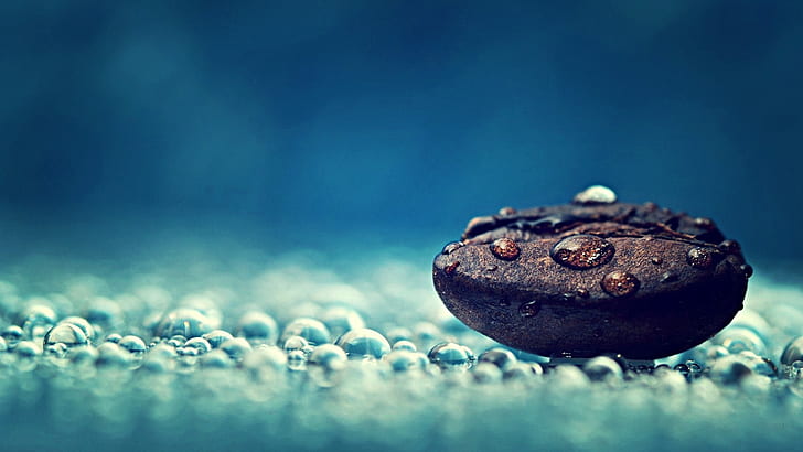 Coffee Bean Water Drop HD, bean, blue, coffee, drop, macro, rain, water, HD wallpaper