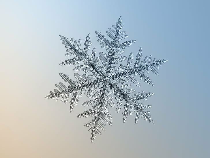 photo of snowflake, Snowflake, macro, silverware, photo, snow  crystal, crystal  symmetry, outdoor, winter, cold, frost, natural, ice, closeup, transparent, hexagon, magnified, details, shape, christmas, sign, symbol, season, seasonal, fine, elegant, ornate, beauty, beautiful, north, decor, isolated, clear, unique, decorated, light, lighting, fragile, fragility, structure, background, flake, frosty, pattern, weather, icy, microscopic, ornament, decoration, abstract, shiny, glitter, sparkle, design, volumetric, storm, new year, tree, nature, backgrounds, white, snow, HD wallpaper