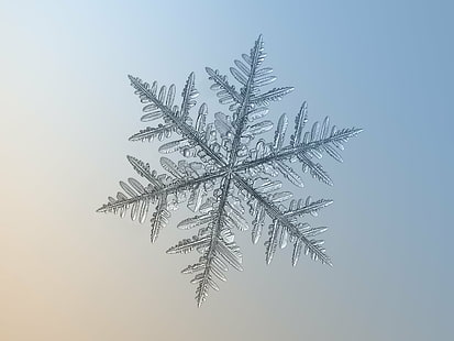 photo of snowflake, Snowflake, macro, silverware, photo, snow  crystal, crystal  symmetry, outdoor, winter, cold, frost, natural, ice, closeup, transparent, hexagon, magnified, details, shape, christmas, sign, symbol, season, seasonal, fine, elegant, ornate, beauty, beautiful, north, decor, isolated, clear, unique, decorated, light, lighting, fragile, fragility, structure, background, flake, frosty, pattern, weather, icy, microscopic, ornament, decoration, abstract, shiny, glitter, sparkle, design, volumetric, storm, new year, tree, nature, backgrounds, white, snow, HD wallpaper HD wallpaper