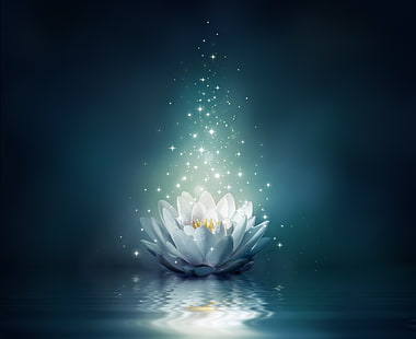 иллюстрация цветка белого лотоса, цветок, вода, огни, лотос, блеск, цветение, водяная лилия, HD обои HD wallpaper